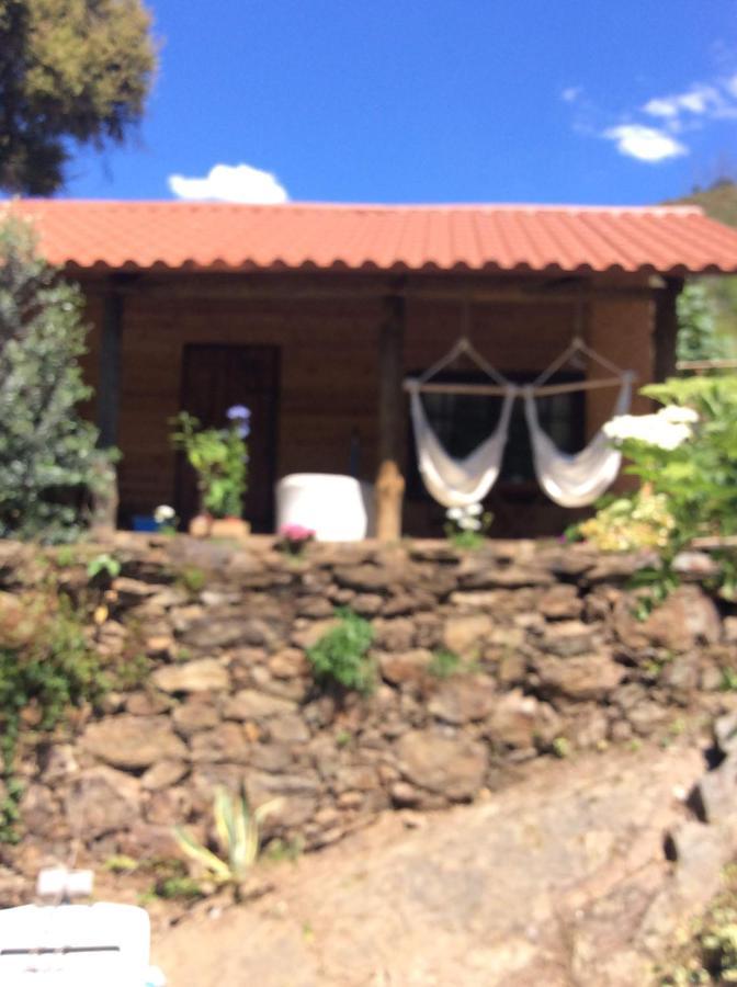 Unique Tiny House With Natural Building Techniques Figueiro Dos Vinhos Exterior foto