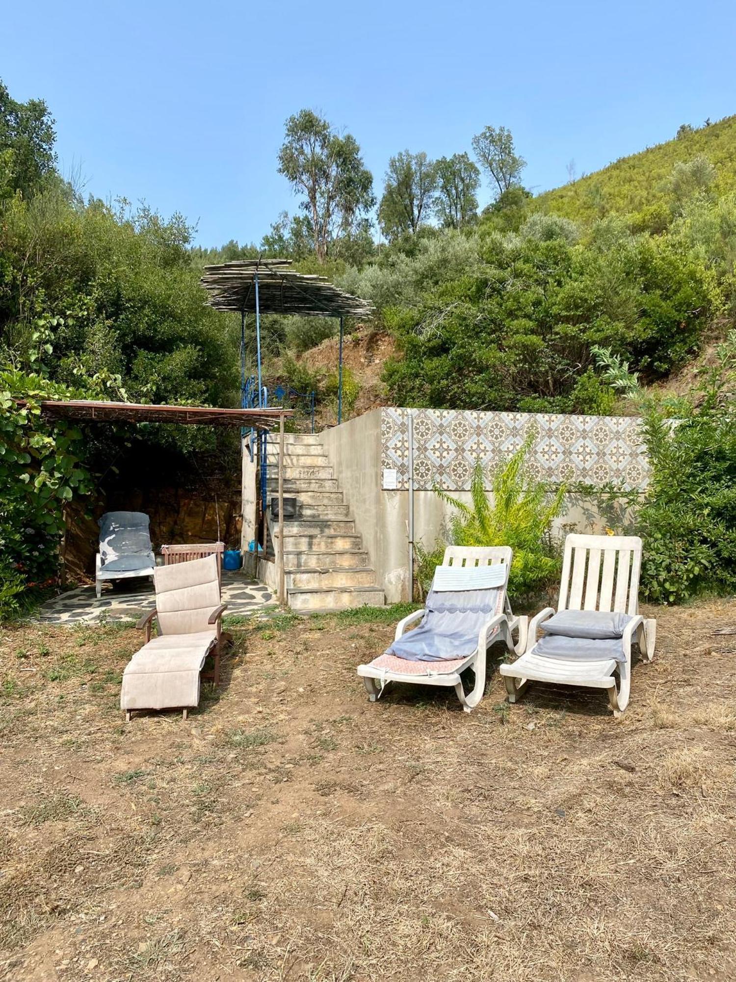 Unique Tiny House With Natural Building Techniques Figueiro Dos Vinhos Exterior foto